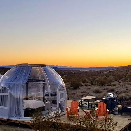 Jthavn-Joshua Tree Remote Dessert Bubble Dome المظهر الخارجي الصورة