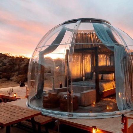 Jthavn-Joshua Tree Remote Dessert Bubble Dome المظهر الخارجي الصورة