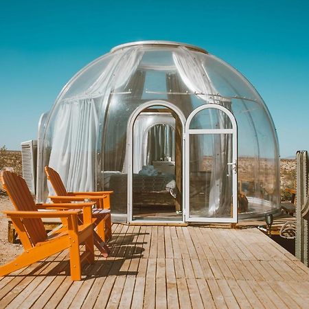 Jthavn-Joshua Tree Remote Dessert Bubble Dome المظهر الخارجي الصورة