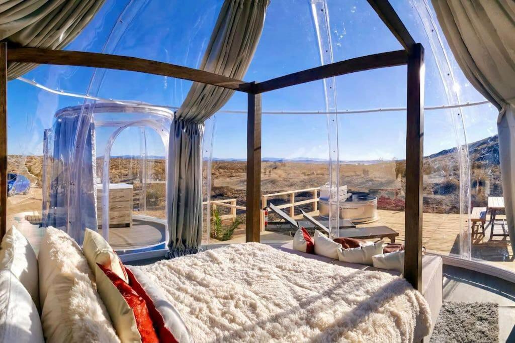 Jthavn-Joshua Tree Remote Dessert Bubble Dome المظهر الخارجي الصورة