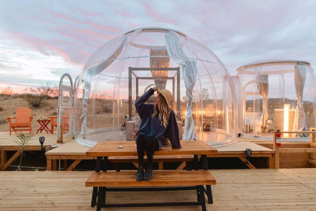 Jthavn-Joshua Tree Remote Dessert Bubble Dome المظهر الخارجي الصورة