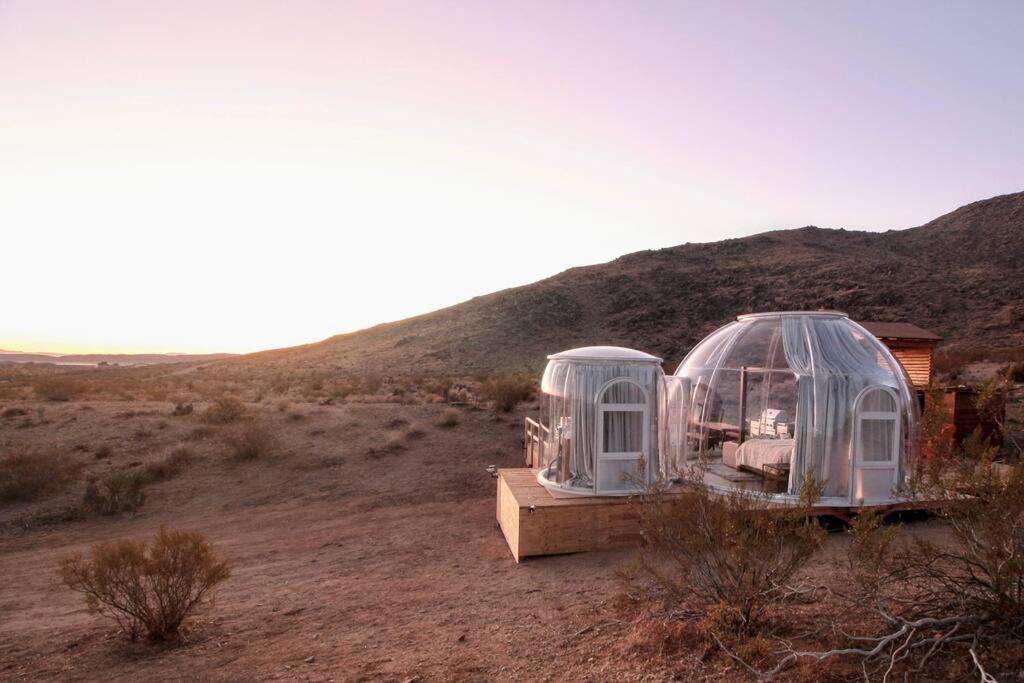 Jthavn-Joshua Tree Remote Dessert Bubble Dome المظهر الخارجي الصورة