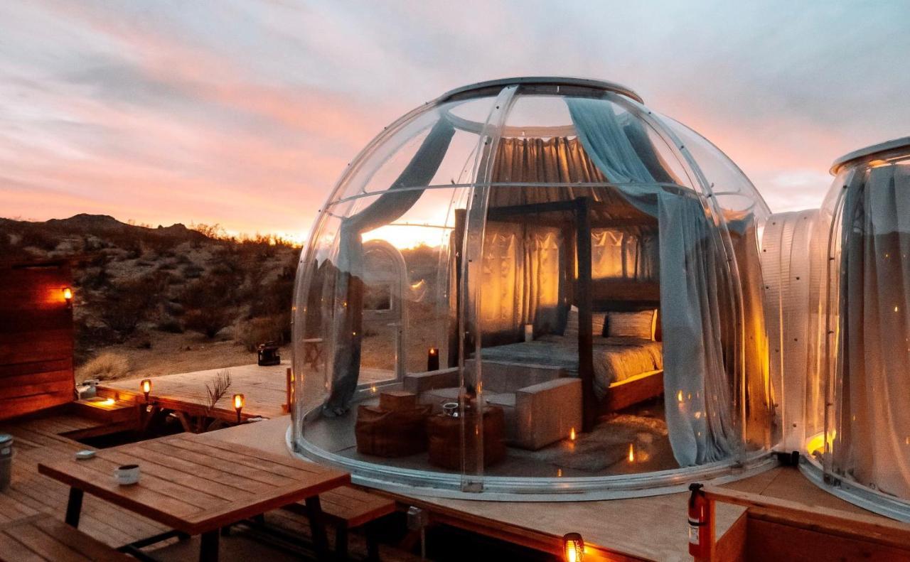 Jthavn-Joshua Tree Remote Dessert Bubble Dome المظهر الخارجي الصورة
