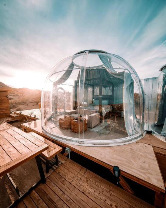 Jthavn-Joshua Tree Remote Dessert Bubble Dome المظهر الخارجي الصورة