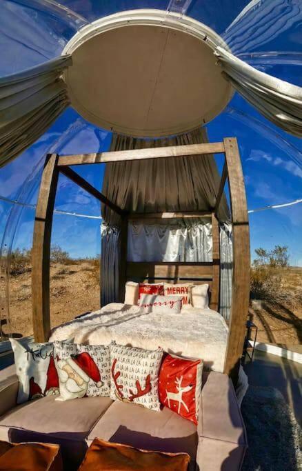 Jthavn-Joshua Tree Remote Dessert Bubble Dome المظهر الخارجي الصورة