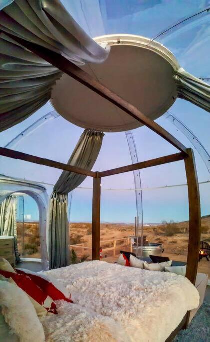 Jthavn-Joshua Tree Remote Dessert Bubble Dome المظهر الخارجي الصورة