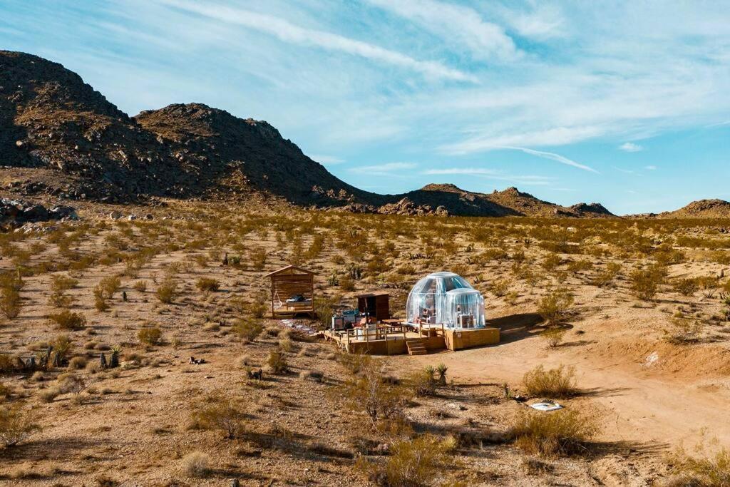 Jthavn-Joshua Tree Remote Dessert Bubble Dome المظهر الخارجي الصورة