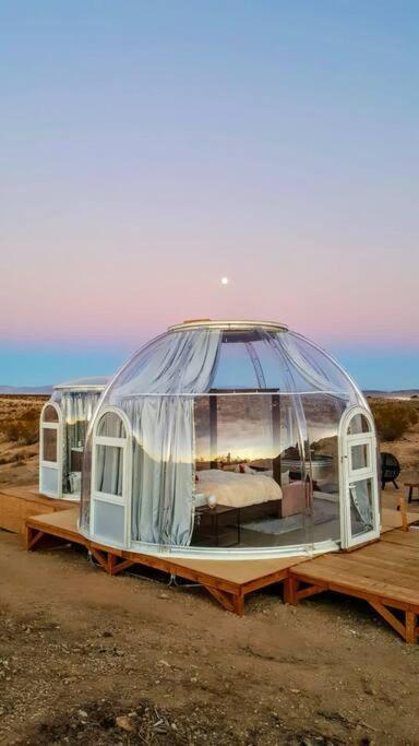 Jthavn-Joshua Tree Remote Dessert Bubble Dome المظهر الخارجي الصورة