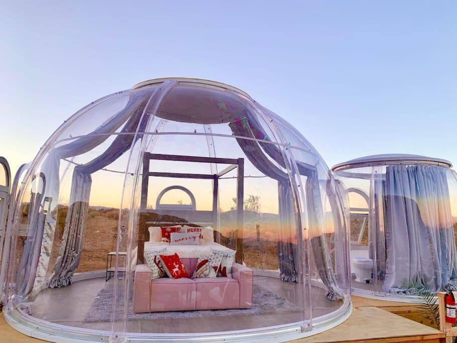 Jthavn-Joshua Tree Remote Dessert Bubble Dome المظهر الخارجي الصورة