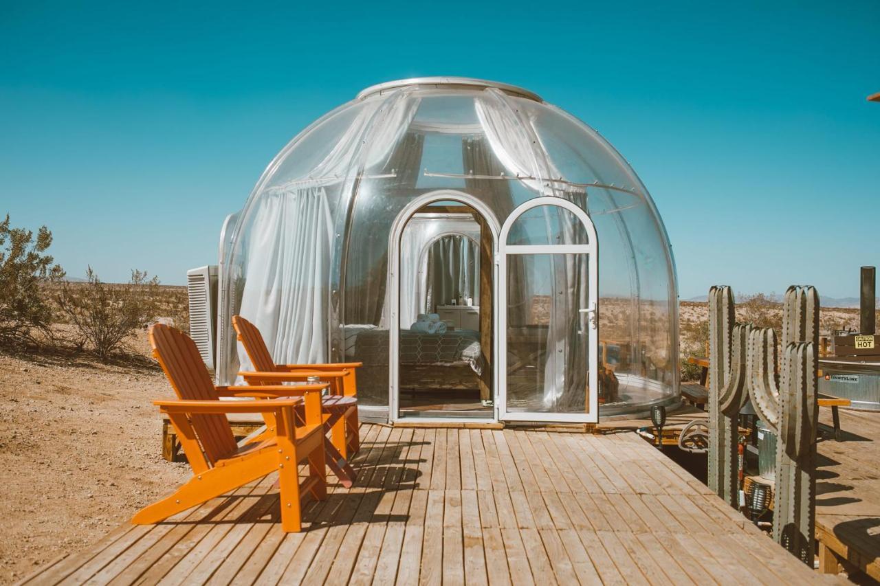 Jthavn-Joshua Tree Remote Dessert Bubble Dome المظهر الخارجي الصورة